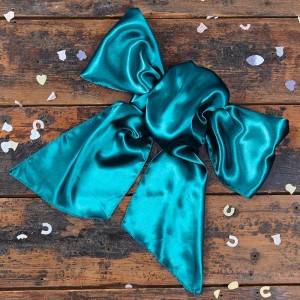 teal-bow