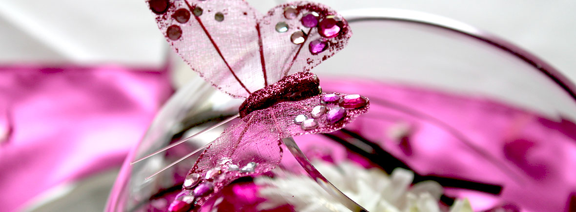 pink giraffe party testimonials